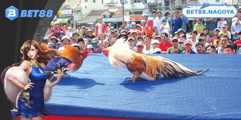 Các yếu tố cần xem xét để chọn nhà cái uy tín